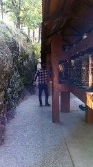Buddha temple #mussoorie#dehradun#uttarakhand