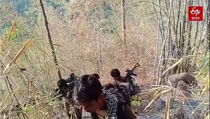 बीजापुर में बड़ी मुठभेड़ के बीच गलगम के जंगल में IED ब्लास्ट, डीआरजी जवान घायल