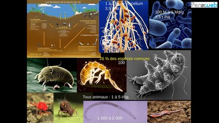 2/2 Gilles Bœuf : l’humain dans le vivant