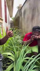 #funny #funnyvideo #entertainmentvideo #entertainment #comedy #comedyvideo #funnyvideo2025 #funnyvideo #funny #newfunnyvideo #enjoyfull #funnny / very entertainment dunny video
