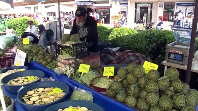 Uluslararası Urla Enginar Festivali başladı