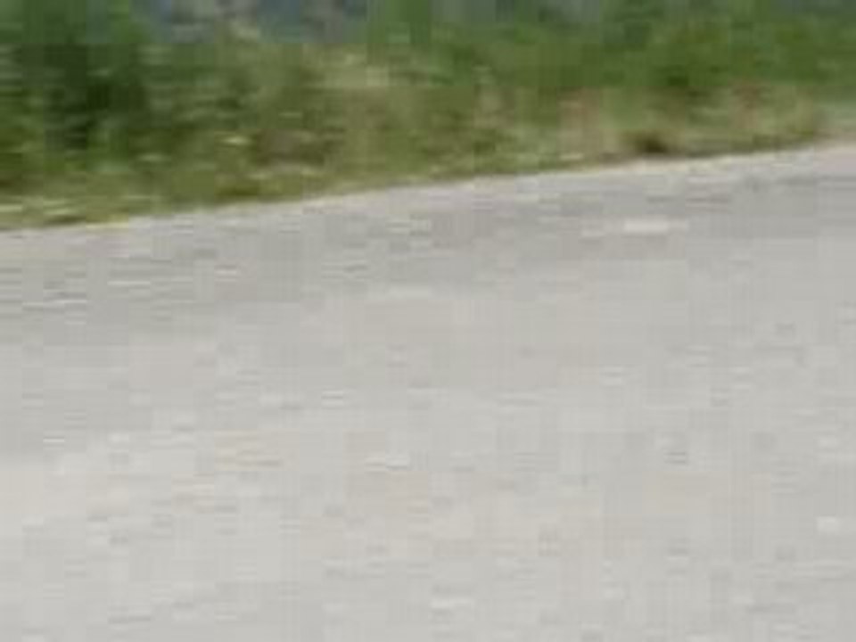 Cri-cri 009