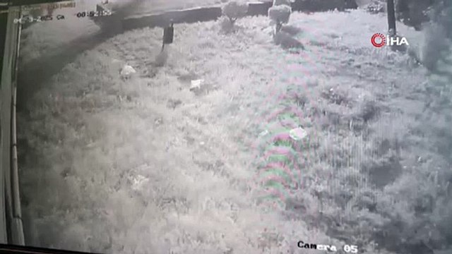 Şaşkın hırsız kamerada! 50 bin lirayı aldı, kendi telefonunu bıraktı