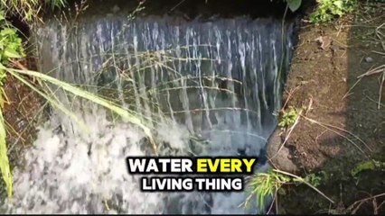 “Bible vs Qur’an: Light Before the Sun? | Which One Matches Science?”