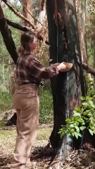 Crafting a Knife Using Nature’s Hidden Materials! 🌿