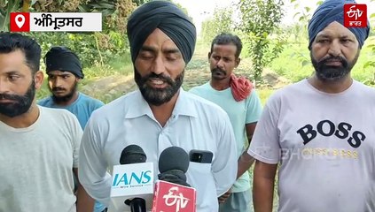 "ਦੋ ਦਿਨਾਂ 'ਚ ਵੱਢ ਲਓ ਕਣਕ, ਨਹੀਂ ਤਾਂ...", ਭਾਰਤ-ਪਾਕਿਸਤਾਨ ਤਣਾਅ ਵਿਚਾਲੇ ਪੰਜਾਬ ਦੇ ਸਰਹੱਦੀ ਇਲਾਕਿਆਂ 'ਚ ਅਨਾਊਂਸਮੈਂਟ