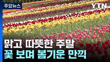 맑고 따뜻한 주말, 만개한 꽃 보며 봄기운 만끽 / YTN