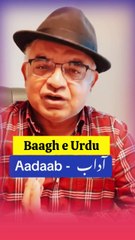 Urdu Pronunciation Guide