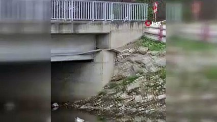 Yeşilırmak Nehri’nde balık ölümleri incelemeye alındı