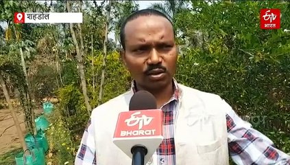 ब्लैक सोल्जर फ्लाई लाएगी खेतों में खुशहाली, किसानों के लिए है वरदान