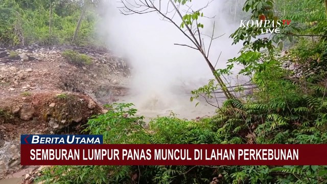 Geger Semburan Lumpur Panas di Lahan Perkebunan Warga Sumatera Utara: Asal dari Mana?