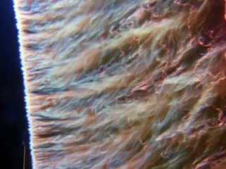 Lightning! : Nature's Most Dazzling and Dangerous Display