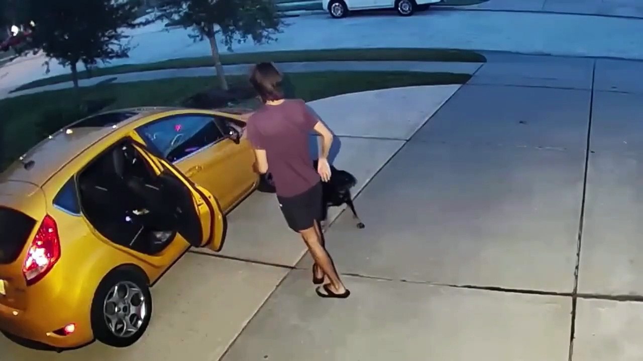 funny videos 24