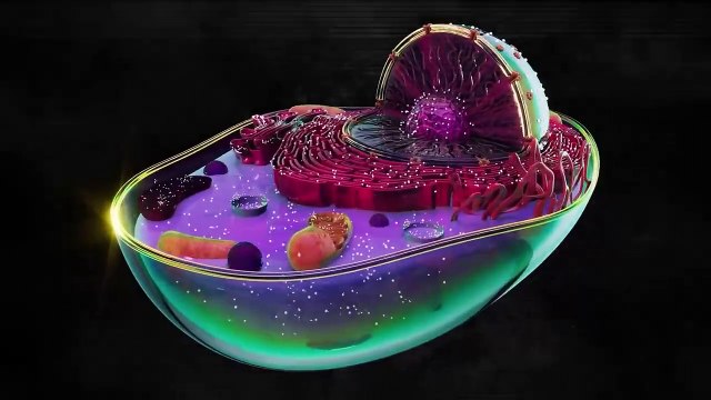 Google DeepMind’s New AI — AlphaFold 3 Shocks the Industry | Unlocking Life’s Hidden Secrets! | AI Revolution