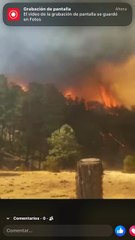 Incendio forestal en Ocampo, Durango