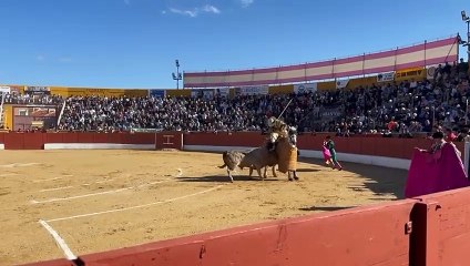 Tercio de Varas - 1º Toro (Prieto de la Cal) || Feria del Aficionado 2025 (26/04/2025)