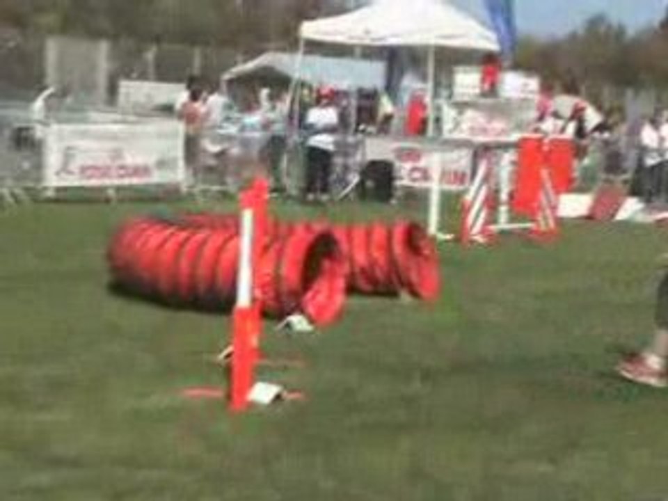 U'BAHN maugio FAR 03-05-08 agility