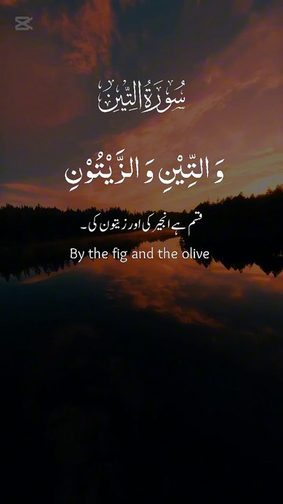 Surah At-Tin (سورة التين) - Beautiful Recitation with Urdu Translation Listen