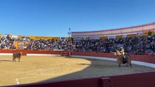 Tercio de Varas - 3º Toro (Prieto de la Cal) || Feria del Aficionado 2025 (26/04/2025)