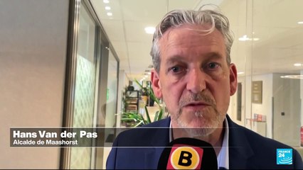 Reconocen que obras de arte perdidas en Maashorst habrían sido tiradas a la basura