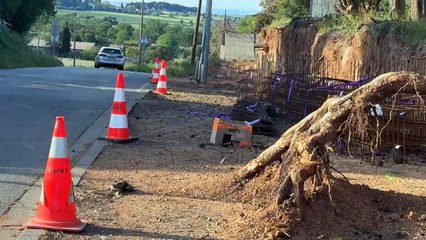 4,9 km de liberté : Marseillan et Pomérols roulent ensemble vers l’écologie !