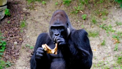 Teaser Perdidos en el Universo - Perdidos en el Universo