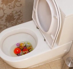 The Cleanest Seat in the House! Toilet Hacks That Work!