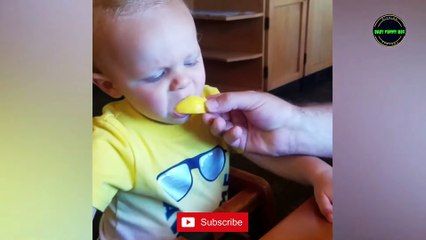 New Funny Babies Tasting Lemons For The First Time