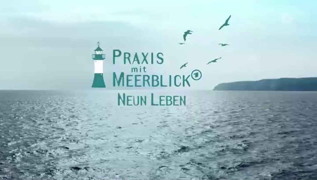 Praxis mit Meerblick -25- Neun Leben