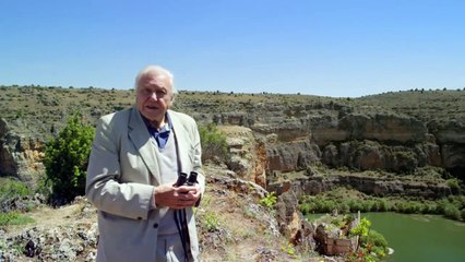 David Attenboroughs Conquest of The Skies_ 3of3_Triumph