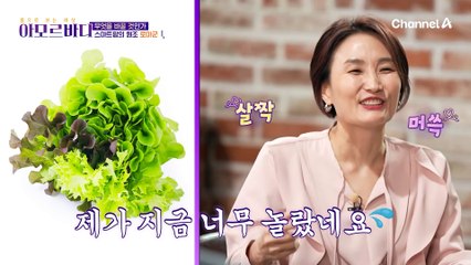 ※전쟁에서 가장 중요한 것=먹거리※ 그/래/서 2000년 전 로마군은 .. 상추 농장을 만들었다고?!