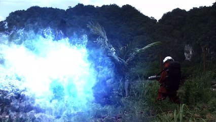 El Enjambre 2008 Español Latino - The Hive