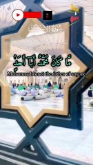 Surah al ahzab, Hafiz Saad khan, #trending #viralshorts #foryou