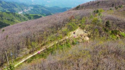 [날씨] 휴일 완연한 봄 날씨...건조특보 속 강풍, 산불 주의 / YTN
