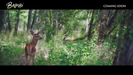 Bambi, l'histoire d'une vie dans les bois | movie | 2025 | Official Trailer