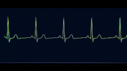 La vida de Chuck | movie | 2025 | Official Trailer