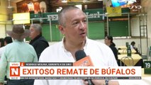 REMATE DE BÚFALOS