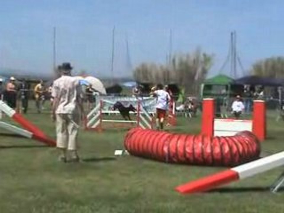 TEQUILLA maugio FAR 03-05-08 agility