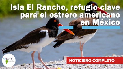 Estudian la cognición de adolescentes que viven a mayor altura en Bolivia |246| 21- 27 de abril 2025