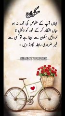 جہاں خلوص کی قدر نہ ہو وہاں خاموشی بہتر ہے | Emotional Poetry | Silent Words #poetry #silentwords #quoits