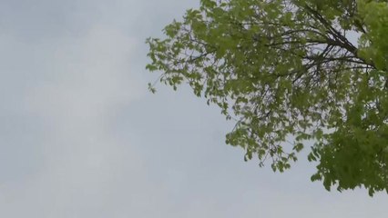 [날씨] 맑지만 대기 건조...전국 강한 바람 '산불 주의' / YTN