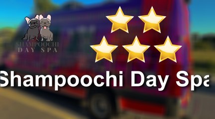 Shampoochi Day Spa Mobile Grooming Port St. Lucie Perfect Five Star Review by Melissa Young