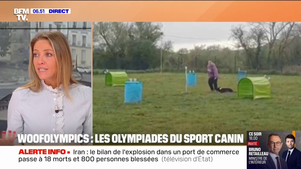 Animaux de compagnie: les bienfaits de faire du sport avec son chien