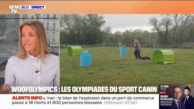 Animaux de compagnie: les bienfaits de faire du sport avec son chien