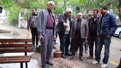 Dev kaya yola düştü, tarım alanları zarar gördü