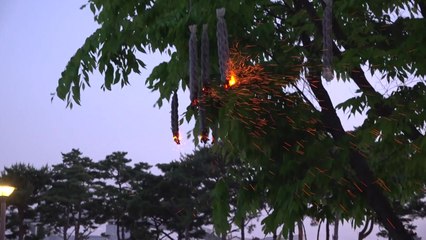 밤하늘 수놓은 불꽃 '세종 낙화축제'에 10만 명 방문 / YTN