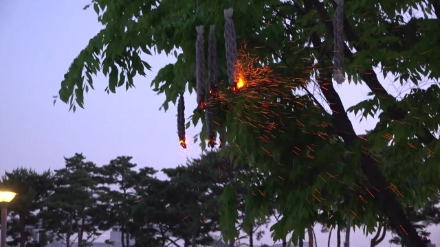 밤하늘 수놓은 불꽃 '세종 낙화축제'에 10만 명 방문 / YTN