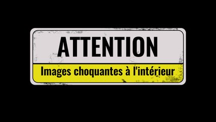 🚨 ILS ONT INVENTÉ LEUR PROPRE MORT ! 😱💀