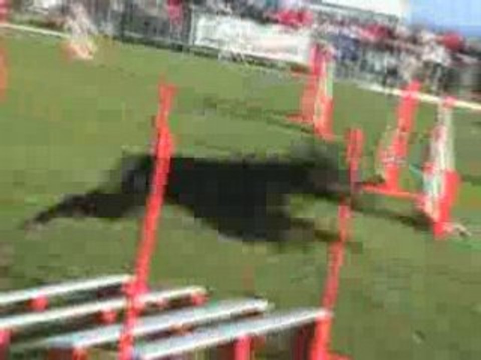 TEQUILLA maugio FAR 04-05-08 jump