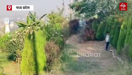 अनोखी पहल और खिल उठी वीरान पहाड़ी, एक ही दिन में रोपे 30 हजार पौधे